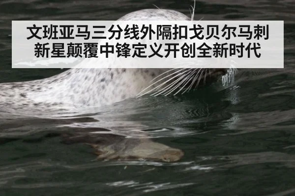文班亚马三分线外隔扣戈贝尔马刺新星颠覆中锋定义开创全新时代